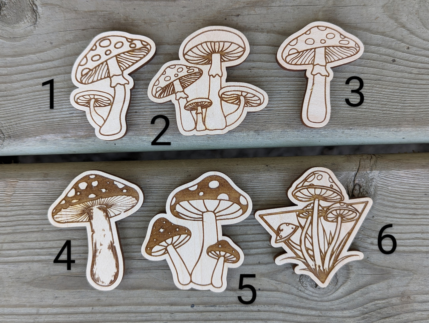 Mushroom Magnets