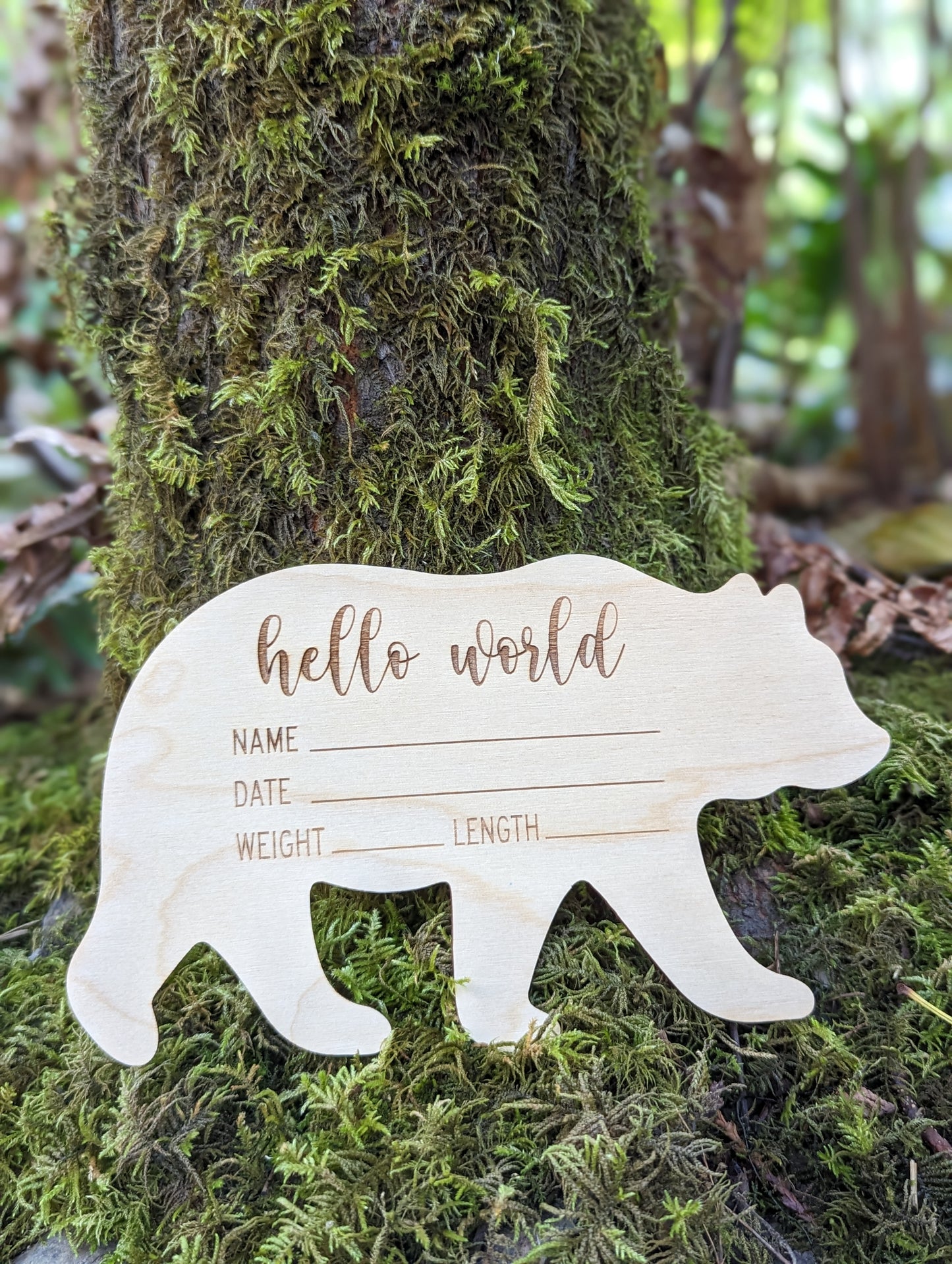 Bear Shaped Baby Announcement Plaque