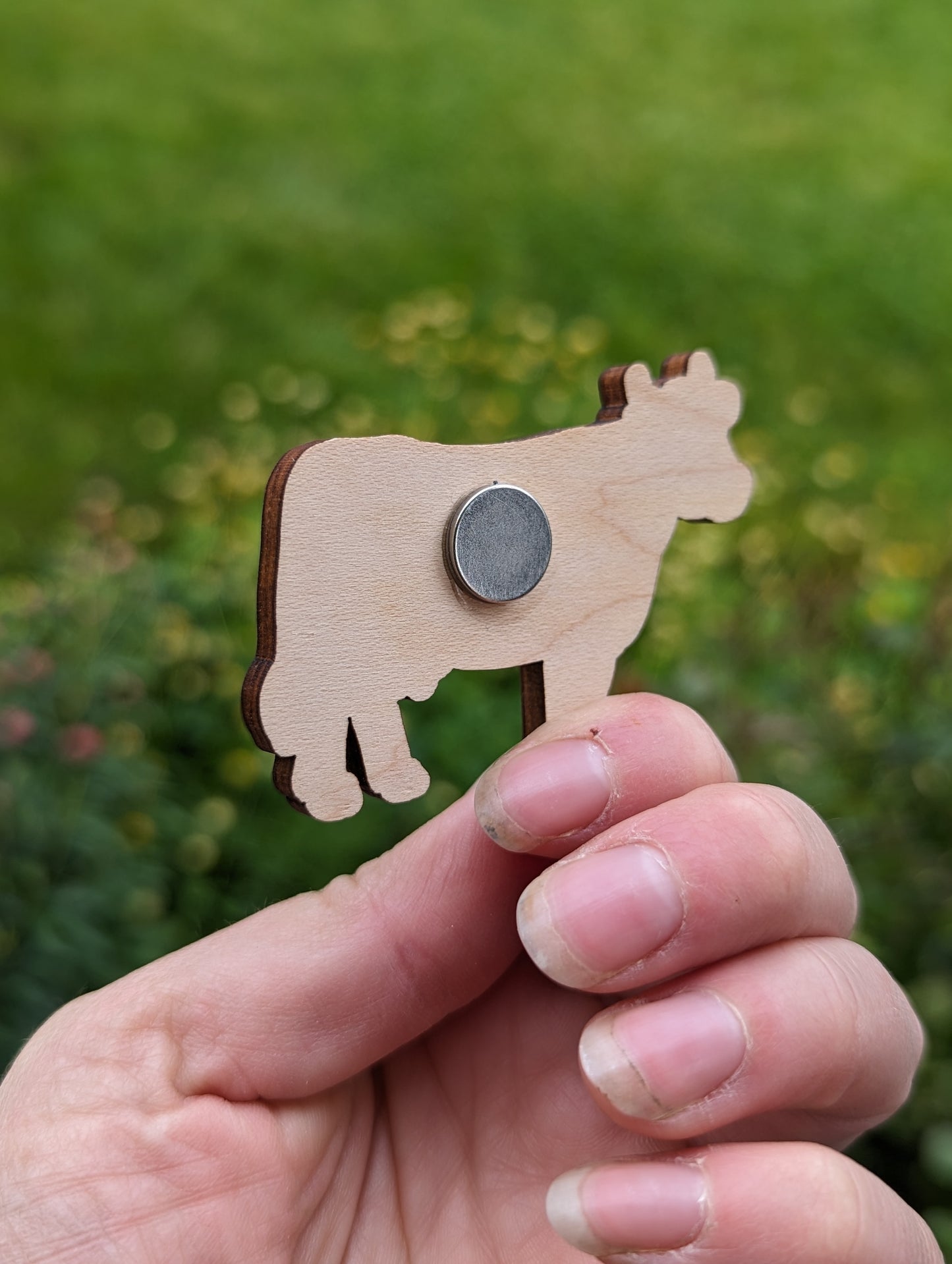 Cow Magnet