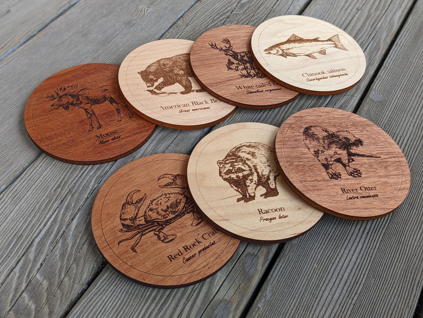 Wooden coasters with animals native to British Columbia Coaster 8.00
