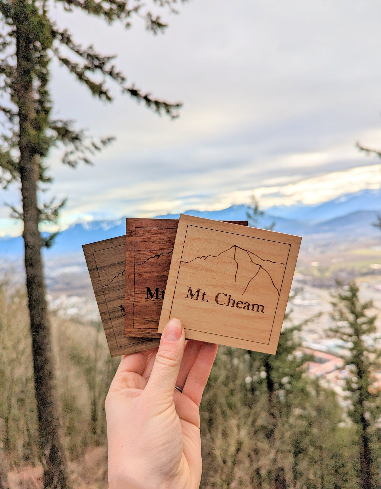 Mt. Cheam Coasters