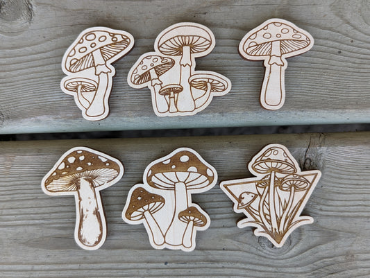 Mushroom Magnets