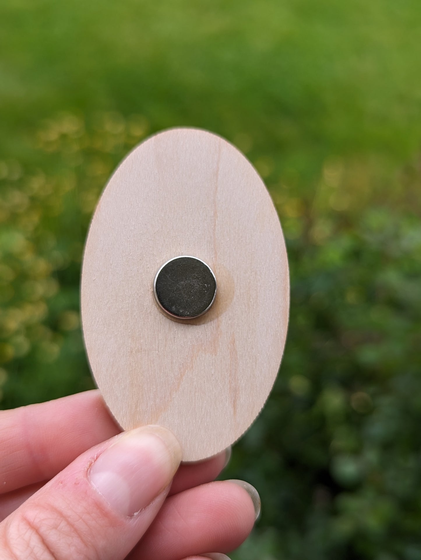 Blue Heron Magnet