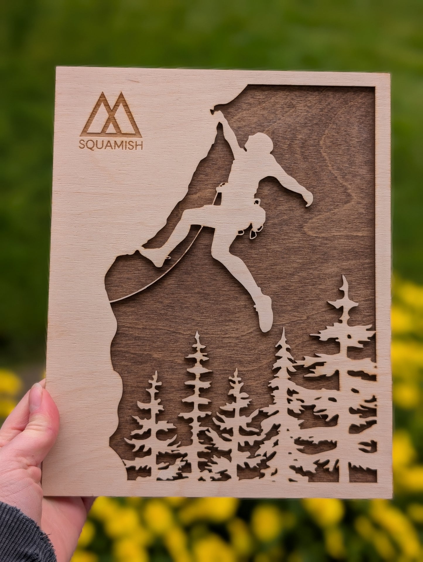 2 Layer 3D Wooden Climbing Wall Art