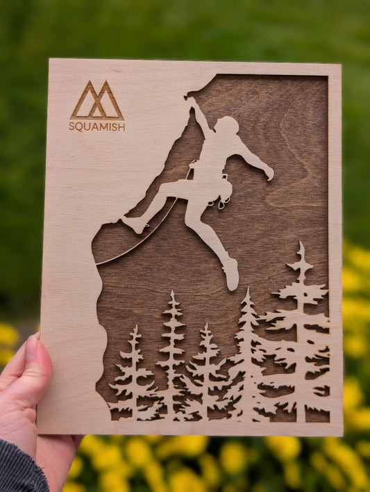 2 Layer 3D Wooden Climbing Wall Art