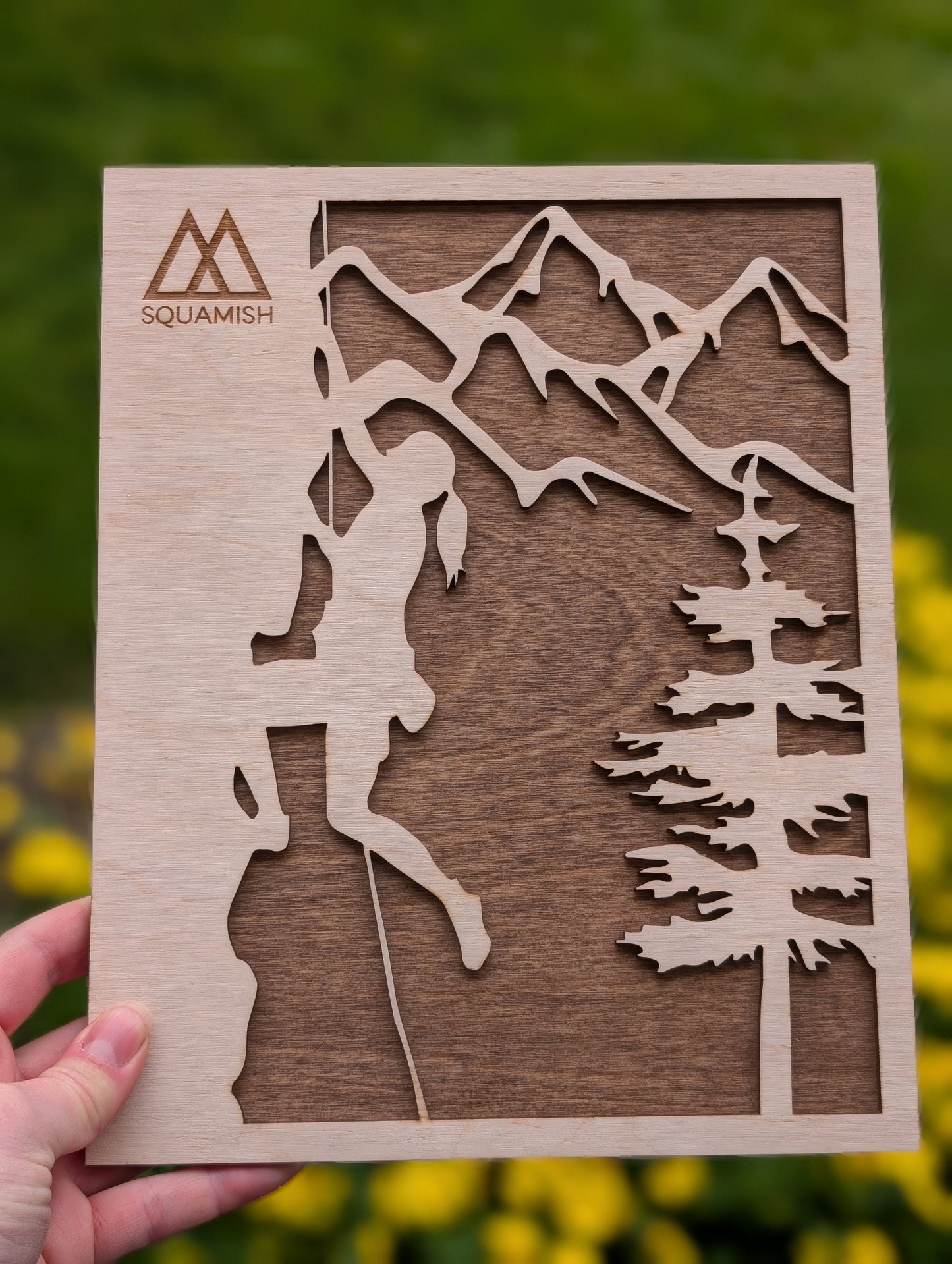 2 Layer 3D Wooden Climbing Wall Art