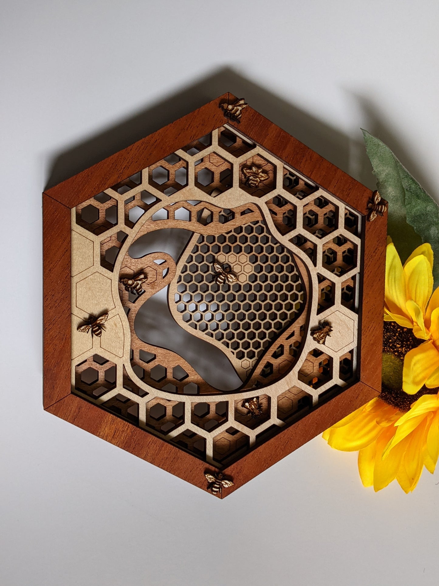 Honeycomb Wall Art Shadow box 60.00