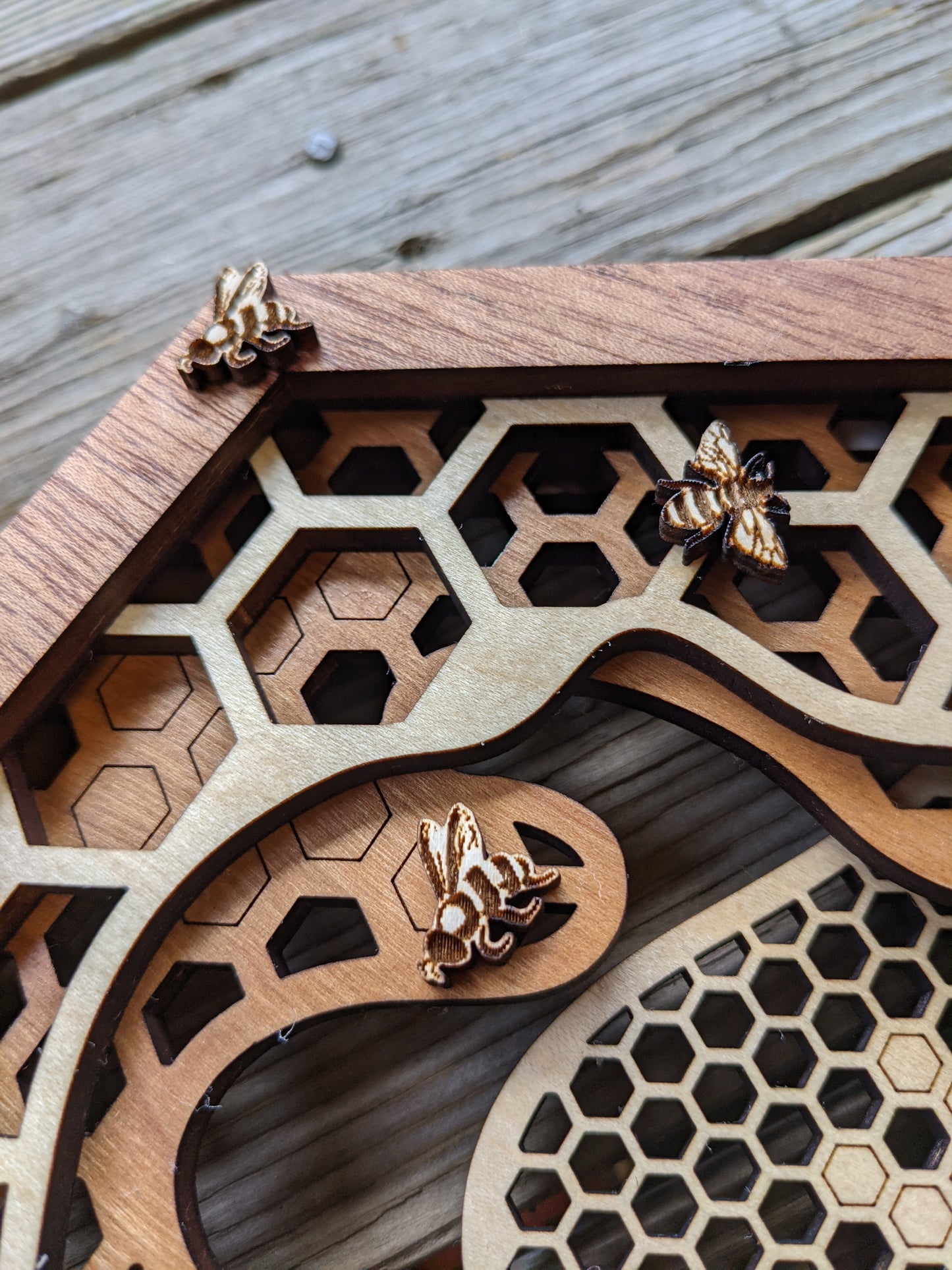 Honeycomb Wall Art Shadow box 60.00