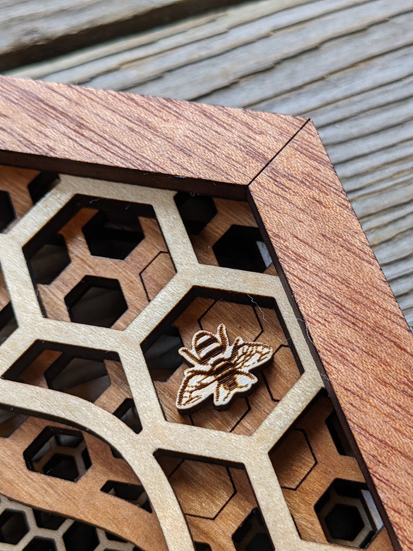 Honeycomb Wall Art Shadow box 60.00