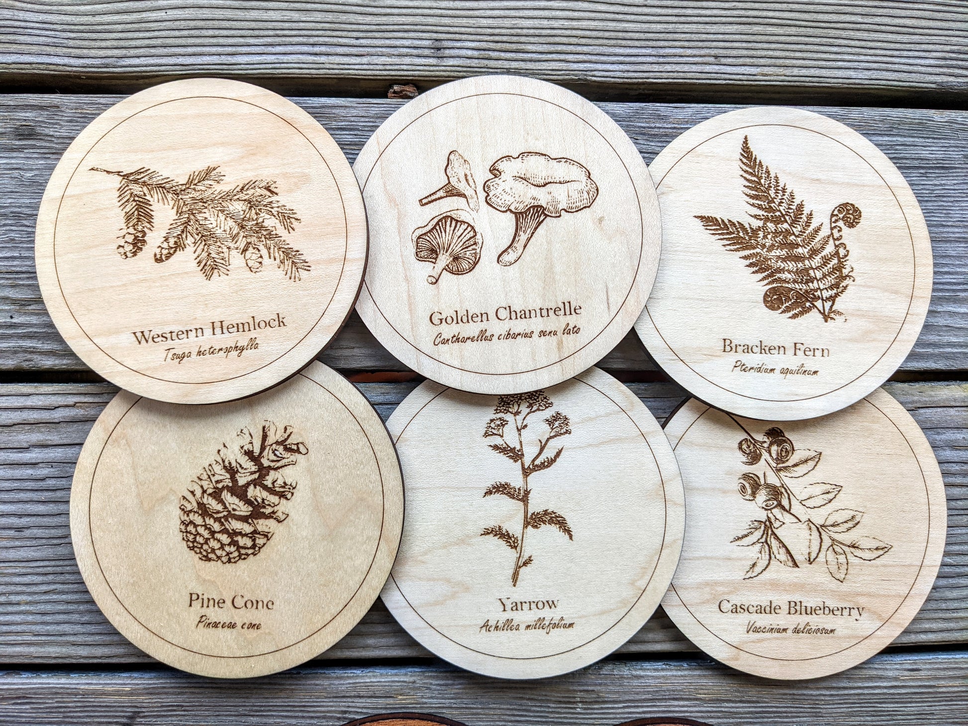 Botanical Coasters Coaster 8.00