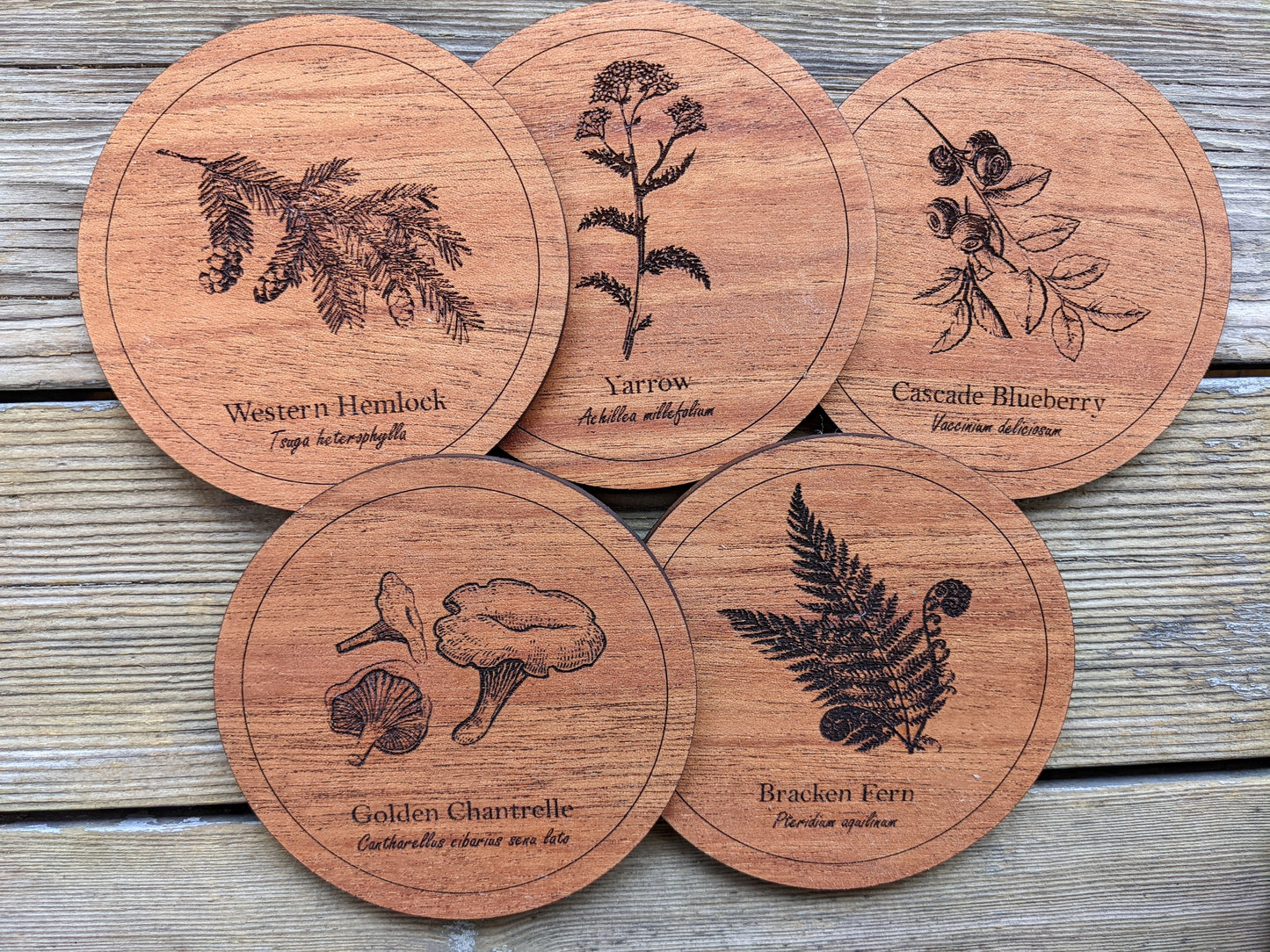 Botanical Coasters Coaster 8.00