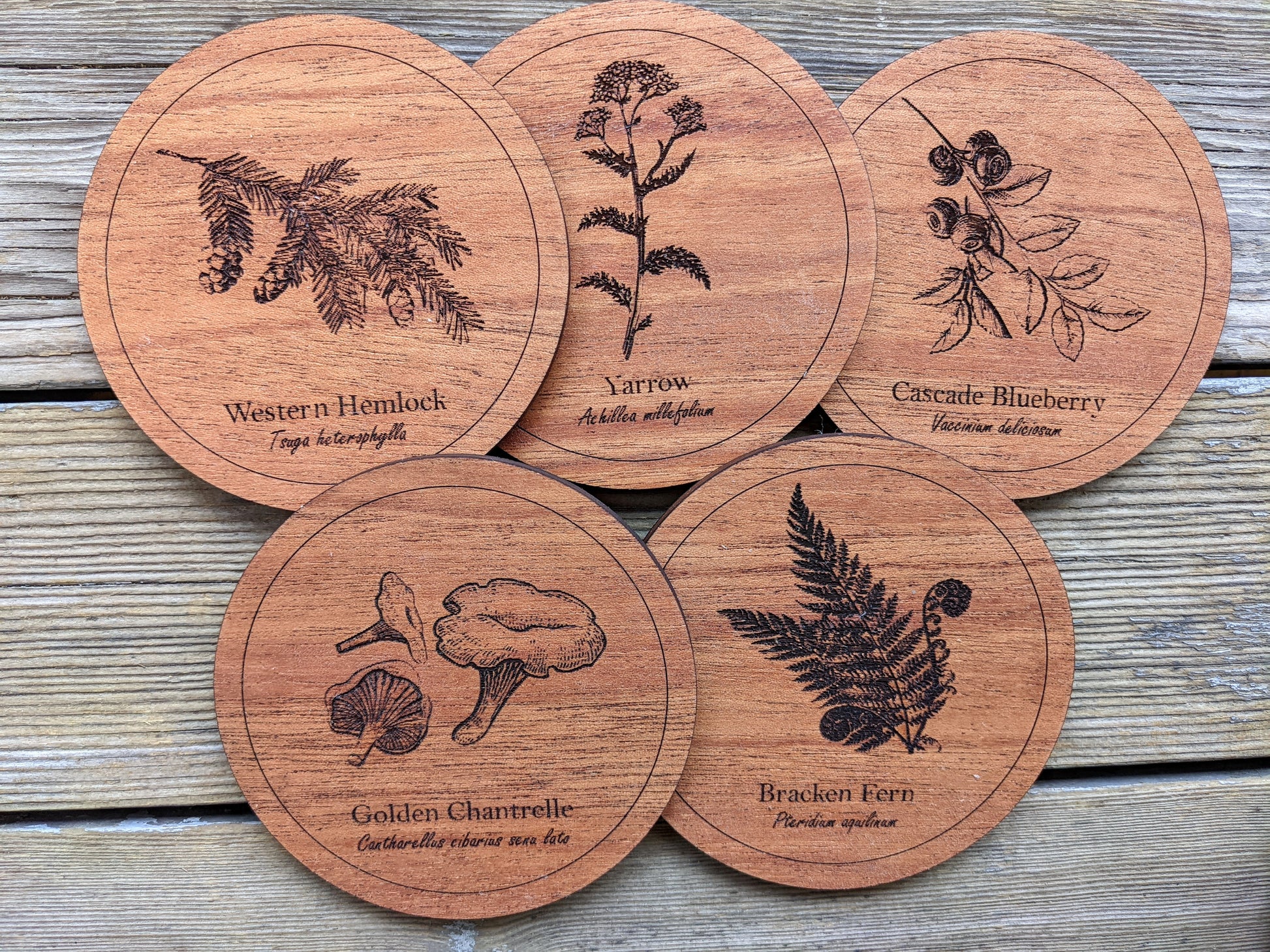 Botanical Coasters Coaster 8.00