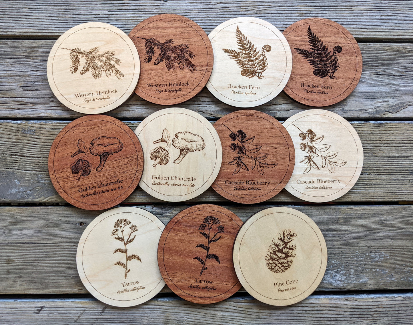 Botanical Coasters Coaster 8.00