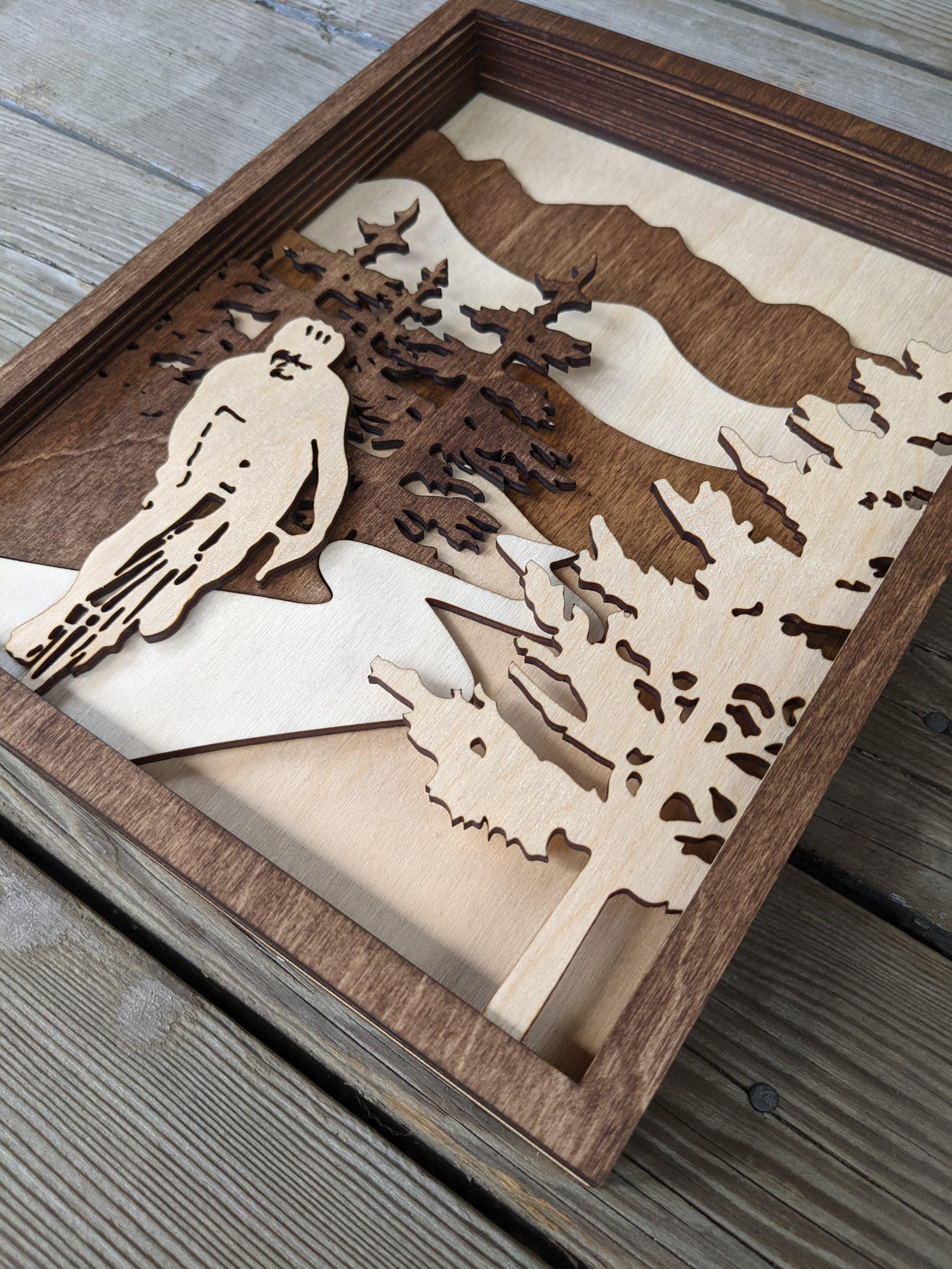 Cycling Wooden 3D Art Piece Shadow box 100.00