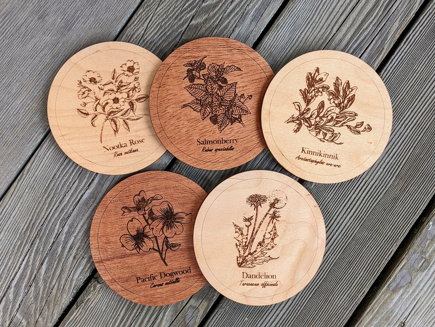Botanical Coasters Coaster 8.00