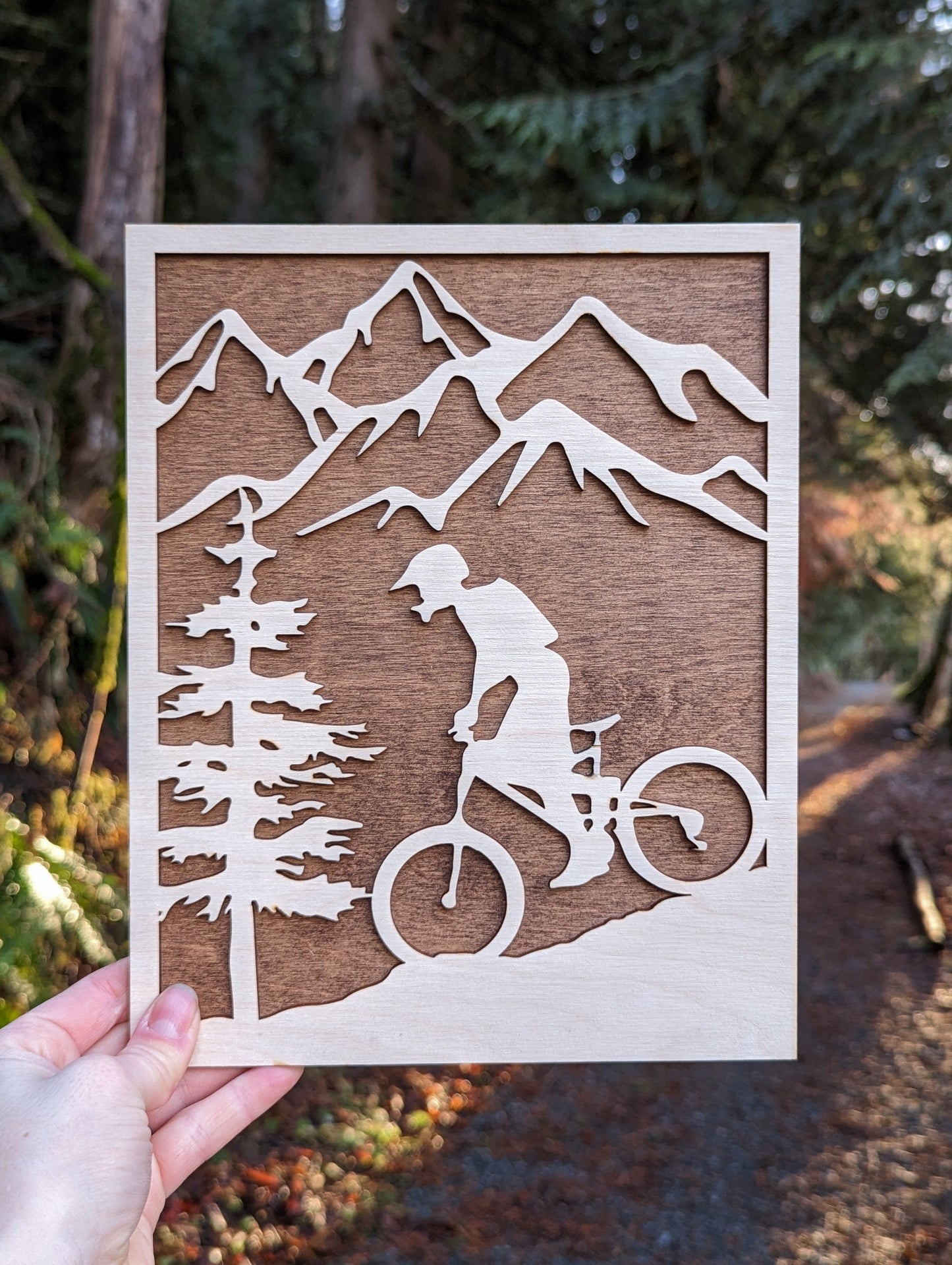 2 Layer 3D Wooden Mountain Biking Wall Art