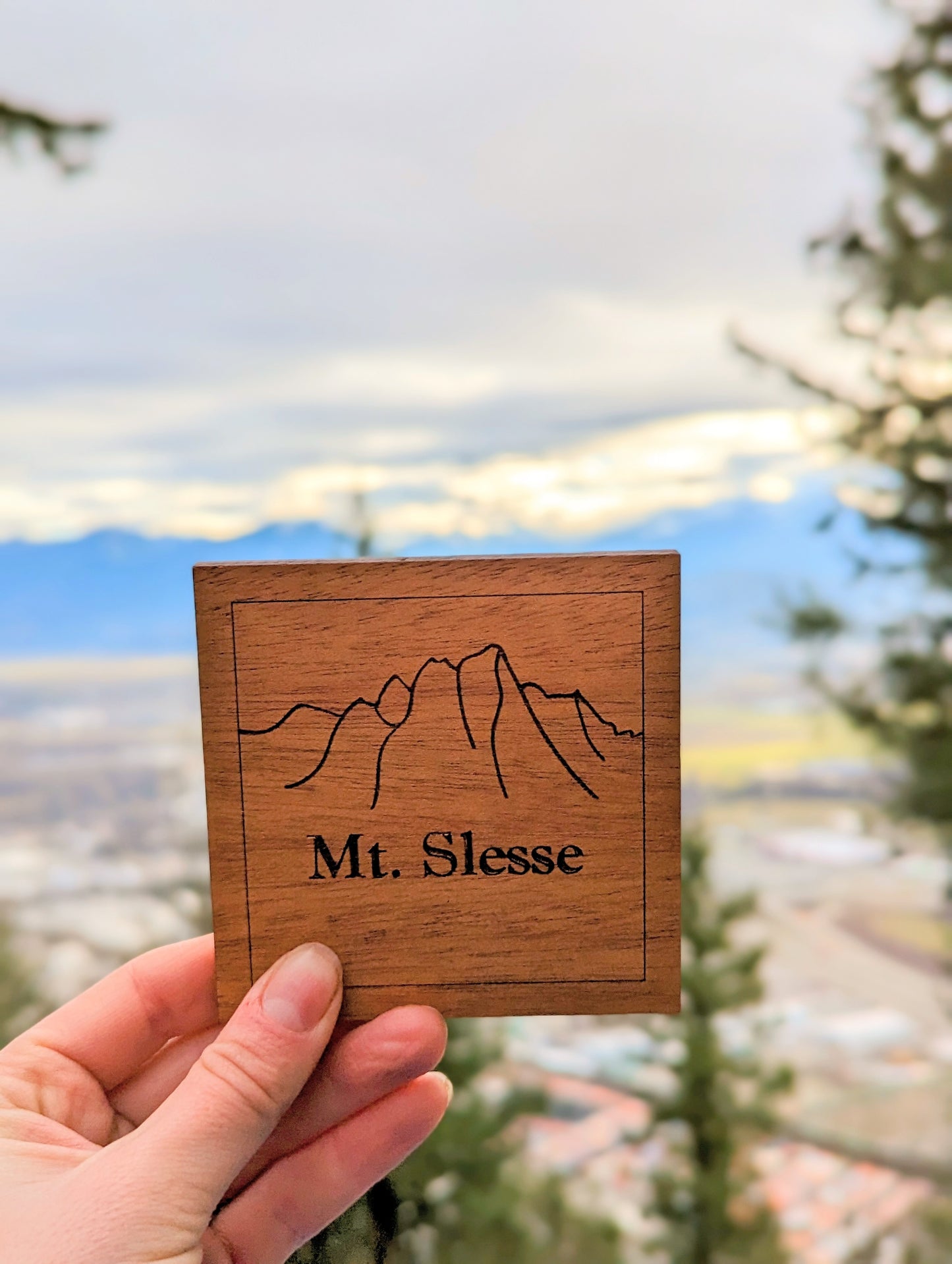 Southern BC Mountain Peak Coasters