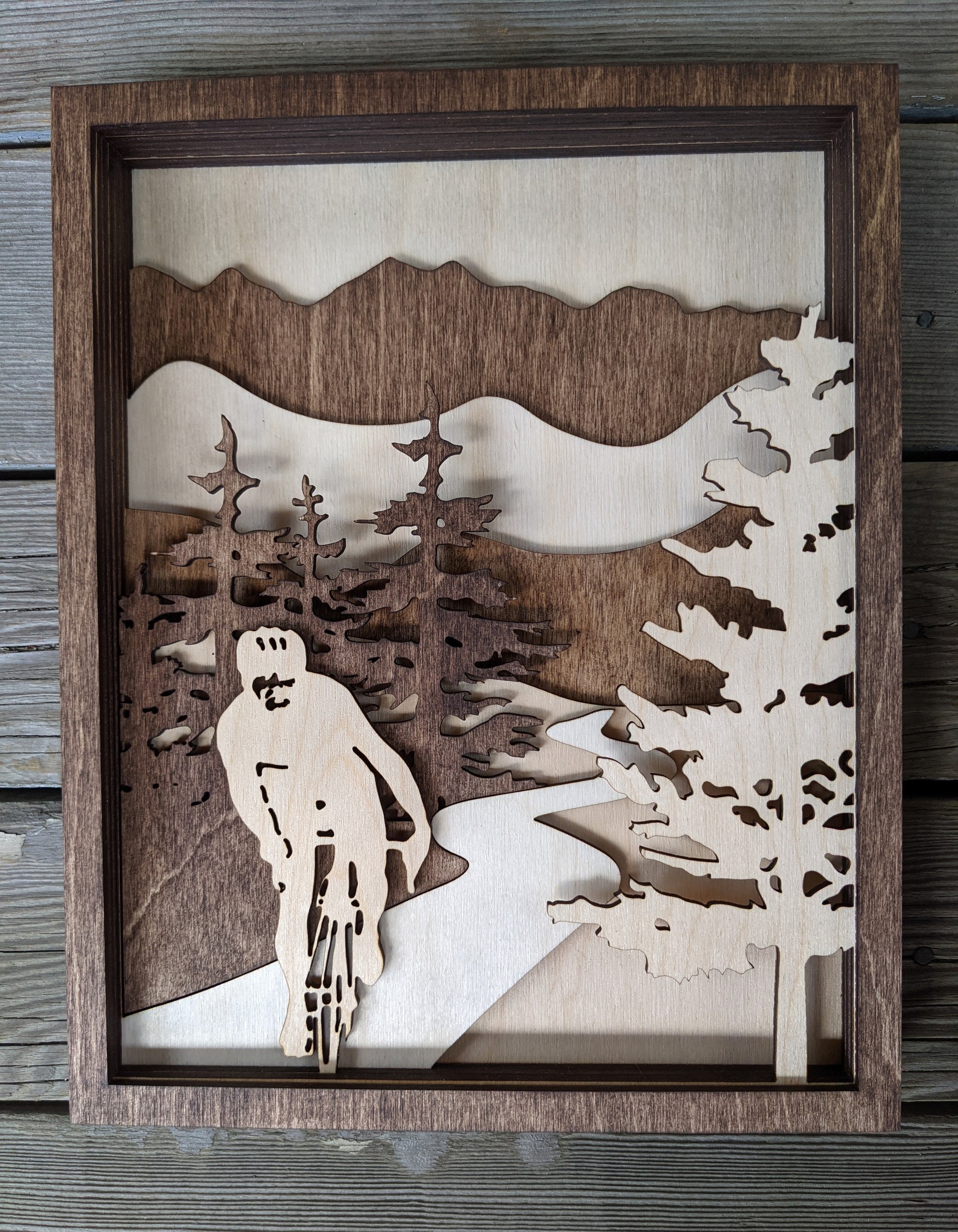 Cycling Wooden 3D Art Piece Shadow box 100.00